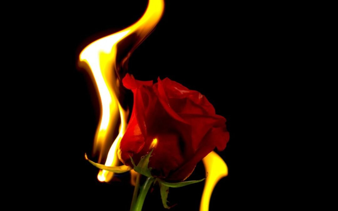 ¿Es amor o es tóxico?