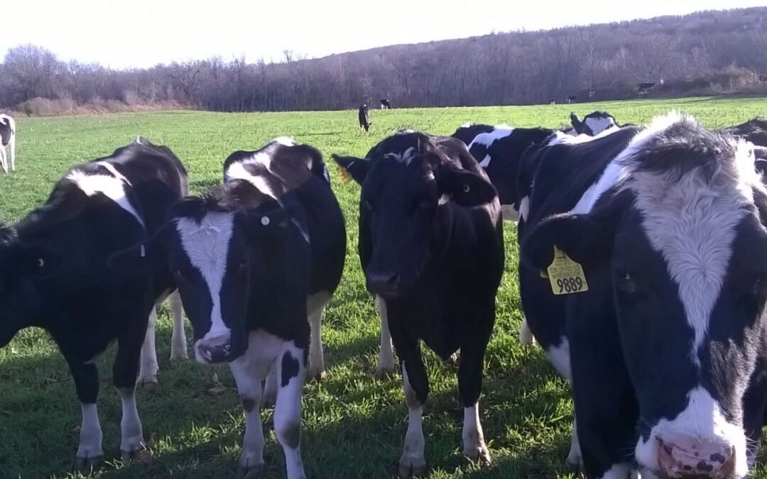 ¿Qué significa dejar un legado?