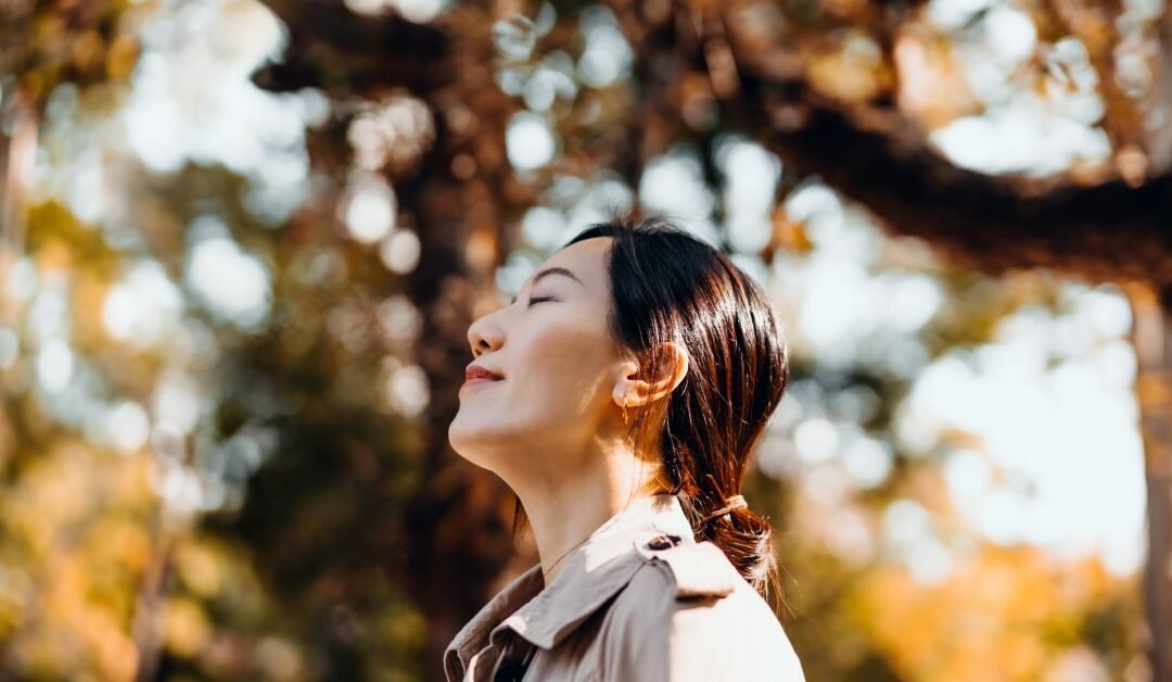 Cómo escuchar el silencio cambia nuestro cerebro