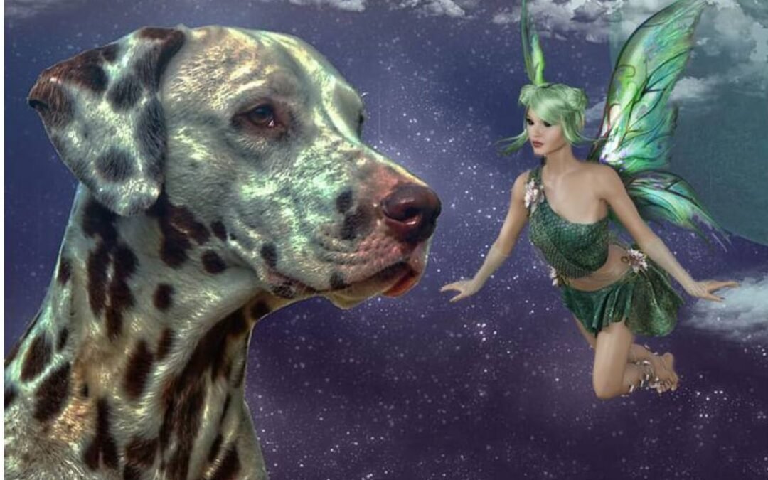 ¿Pueden los cuentos populares ayudarnos a saber dónde y cuándo aparecieron los perros?