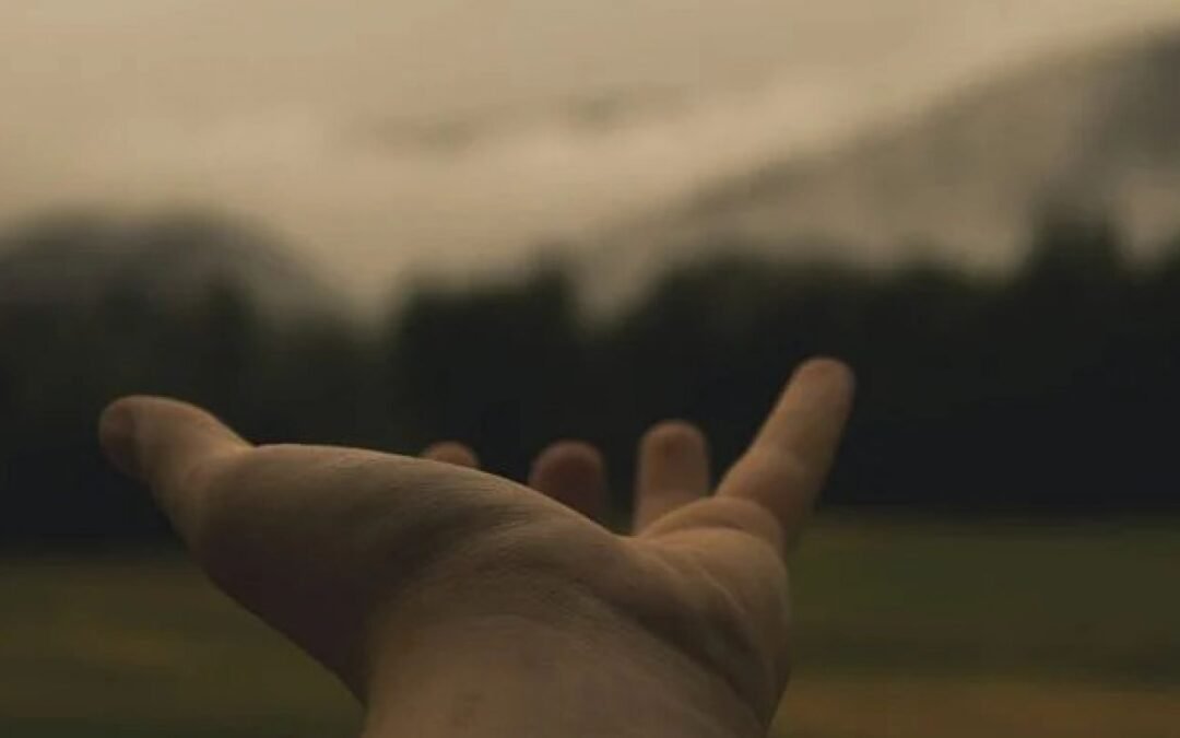 4 formas de apoyar a una víctima del narcisismo patológico