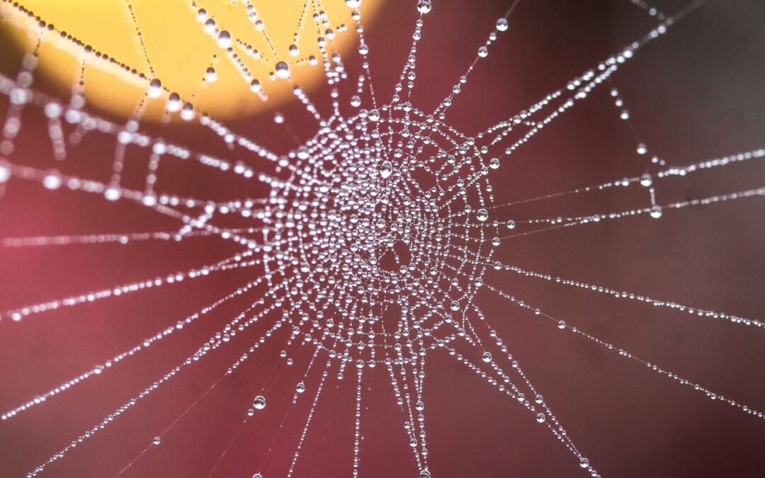 Valores que guían la salud pública