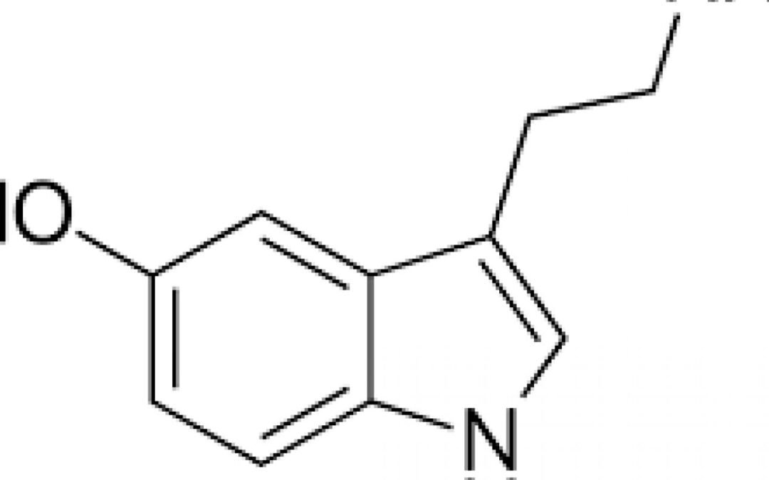 ¿Se ha desmentido la hipótesis de la serotonina?