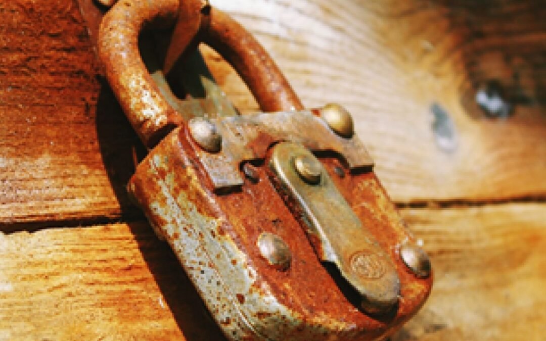 ¿Quién lee realmente los artículos de las revistas?