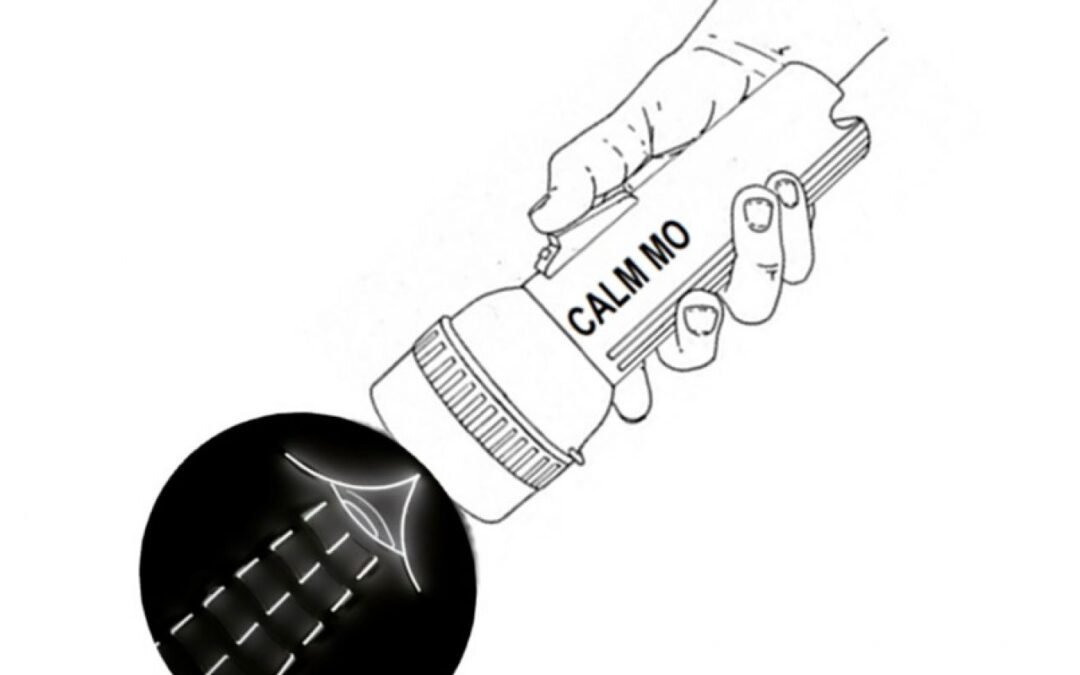 Cómo cultivar la curiosidad en tiempos de problemas