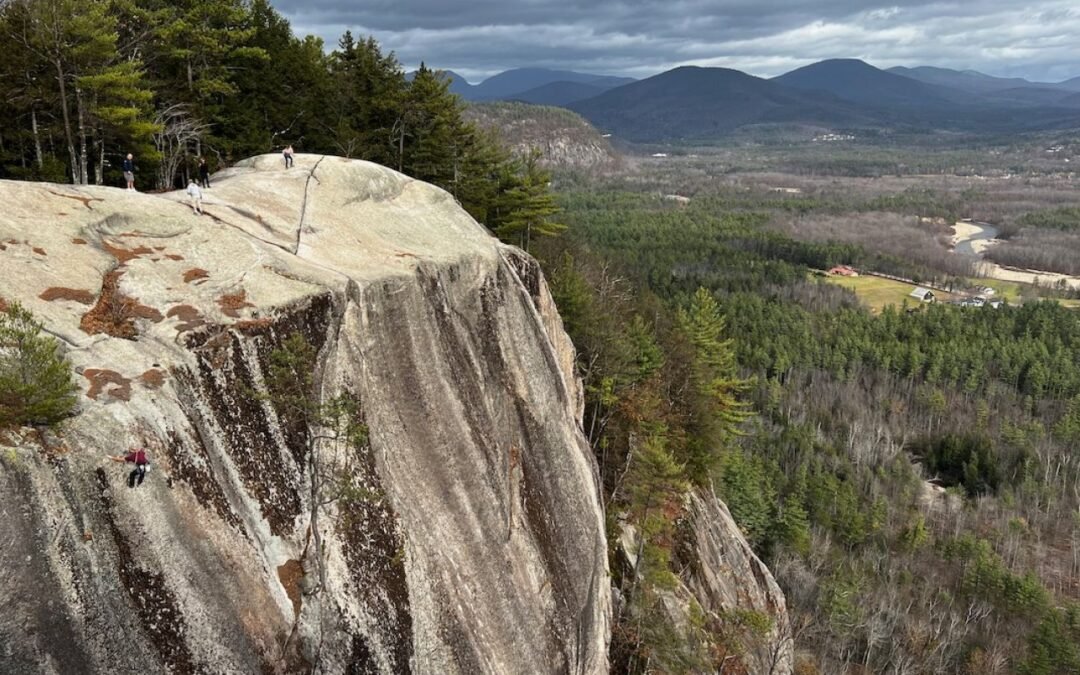 ¿Cuándo dará el siguiente paso la programación de la neurodiversidad?