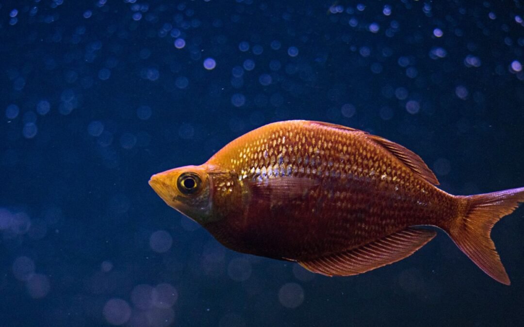 ¿Y si el mundo no es lo que parece?