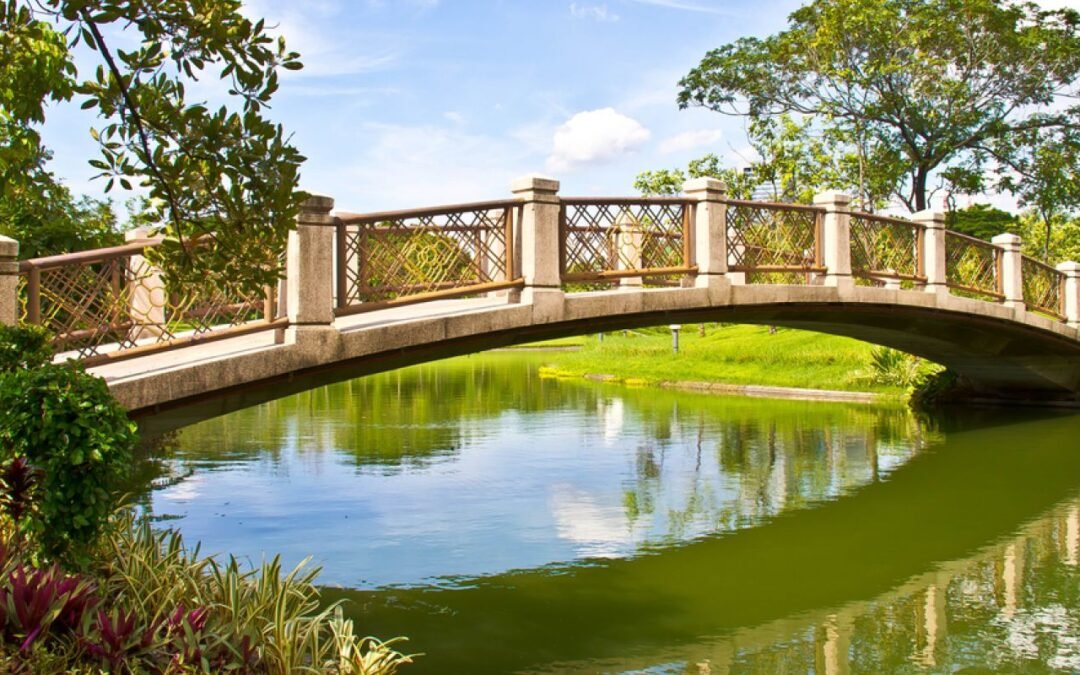 Una transición organizada por el subconsciente