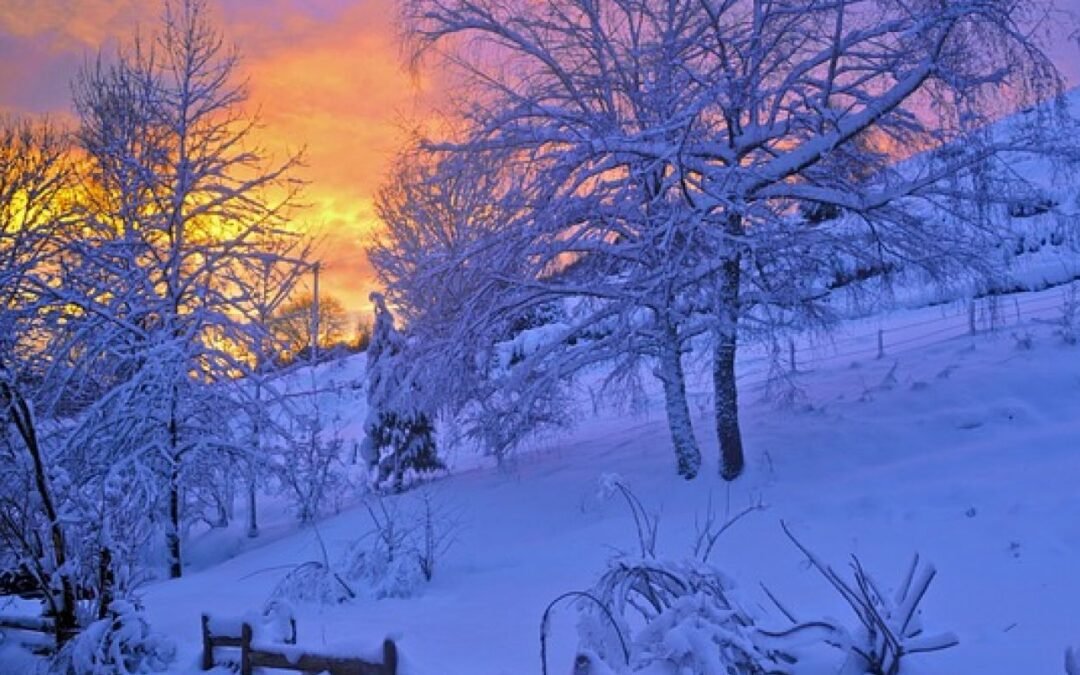 3 formas de equilibrar tu energía estacional