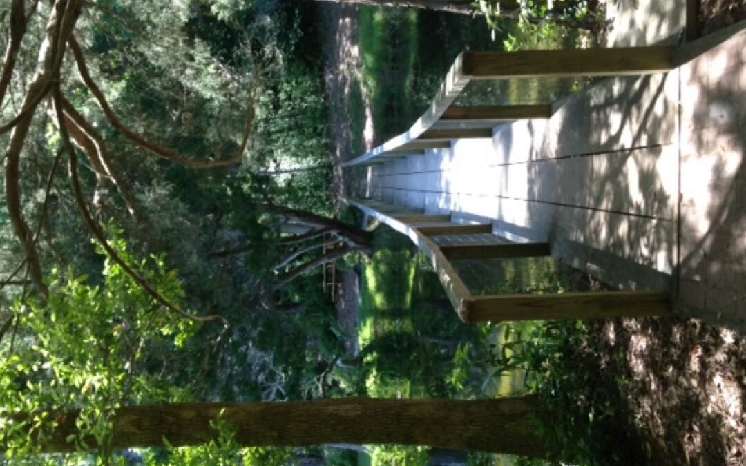 El arte de adaptar su proceso de atención al cliente