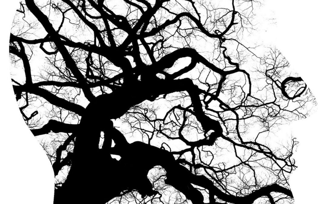 Psicoterapia para la esquizofrenia: un tratamiento infrautilizado