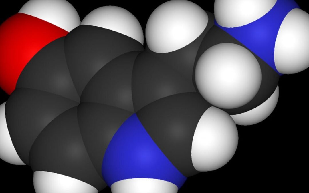 Primera demostración de un papel directo de la serotonina en la depresión