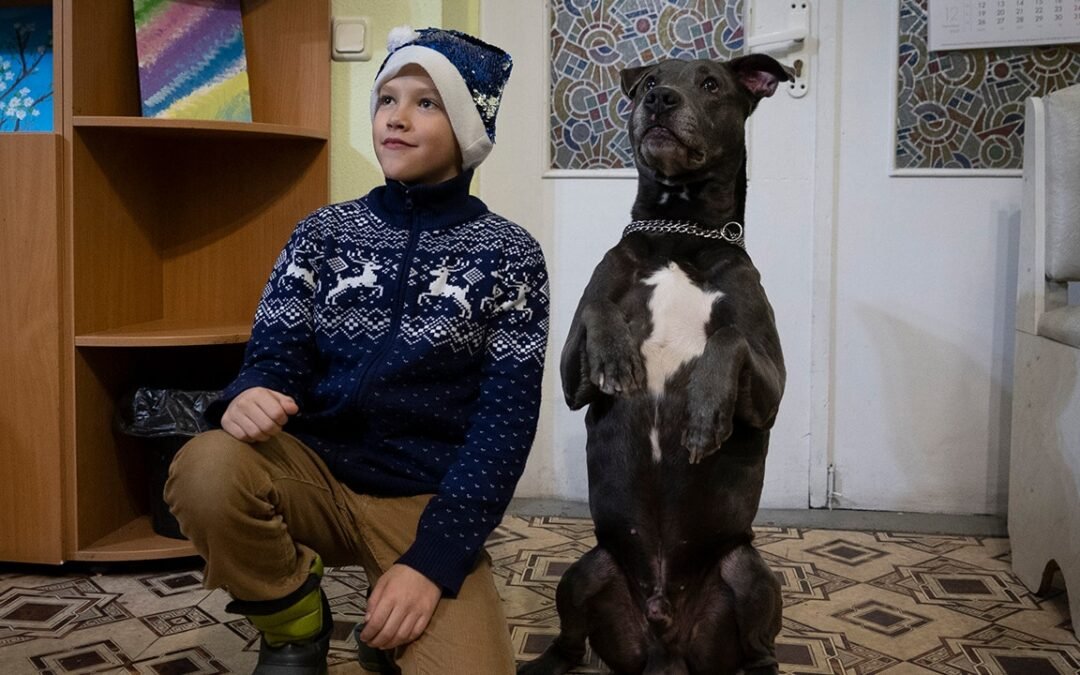 Ucrania introduce servicios de perros de terapia para niños que han sobrevivido al trauma de la guerra para reducir el estrés y la ansiedad