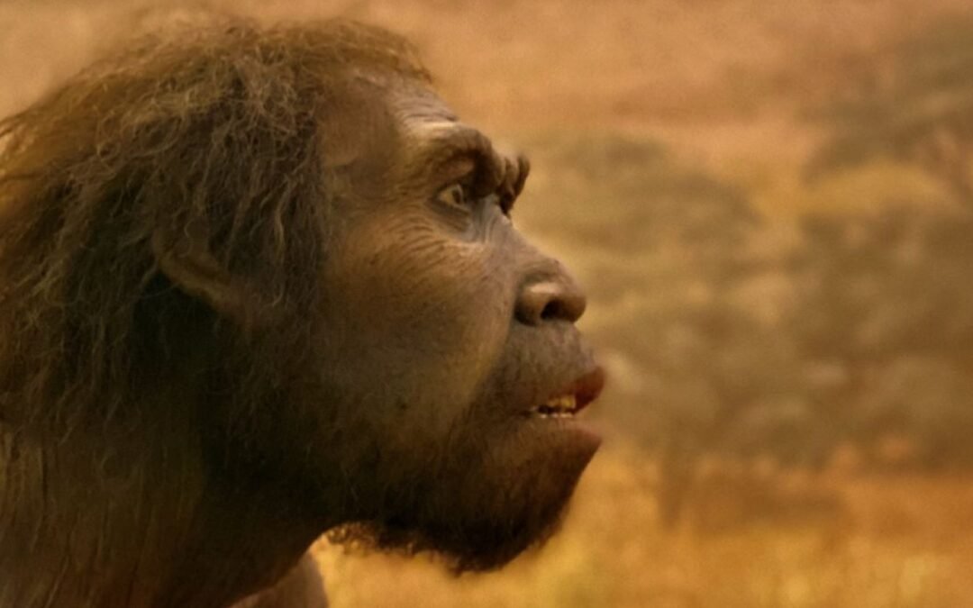 Confrontando la confusa mente cósmica del Homo Sapiens