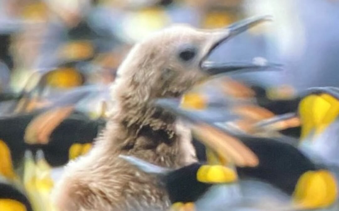 ¿Se ha ido realmente?  |  Psicología hoy Reino Unido