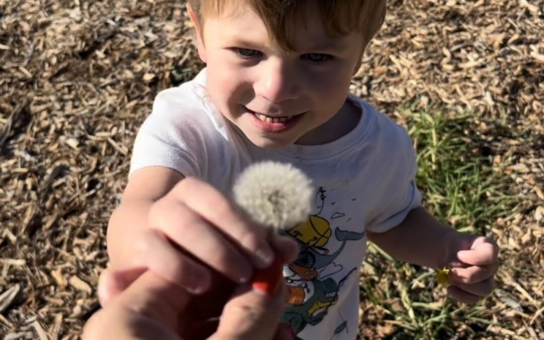 Lo que nuestras mascotas y niños pueden enseñarnos