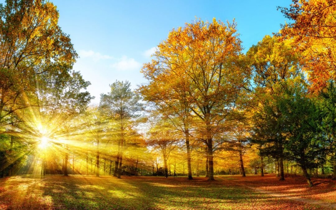 Experiencias infantiles adversas y cuidado del alma