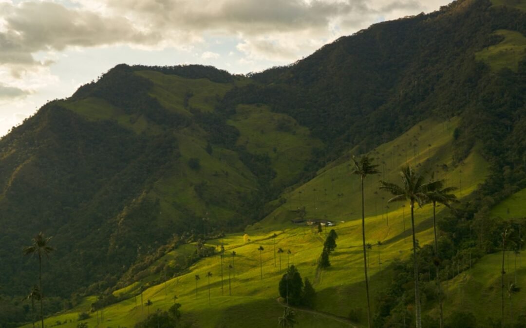 Cómo modela la abuela de «Encanto» la reacción al trauma