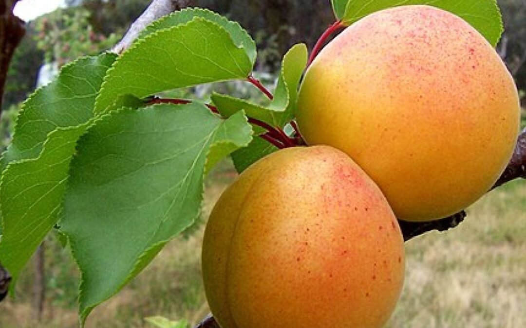 El movimiento desarrolla la imaginación.  Psicología Hoy