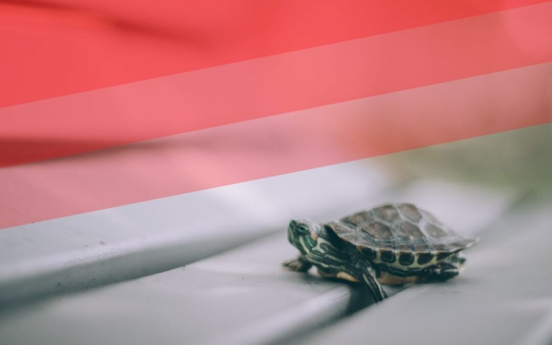 Así que has roto tu resolución de Año Nuevo