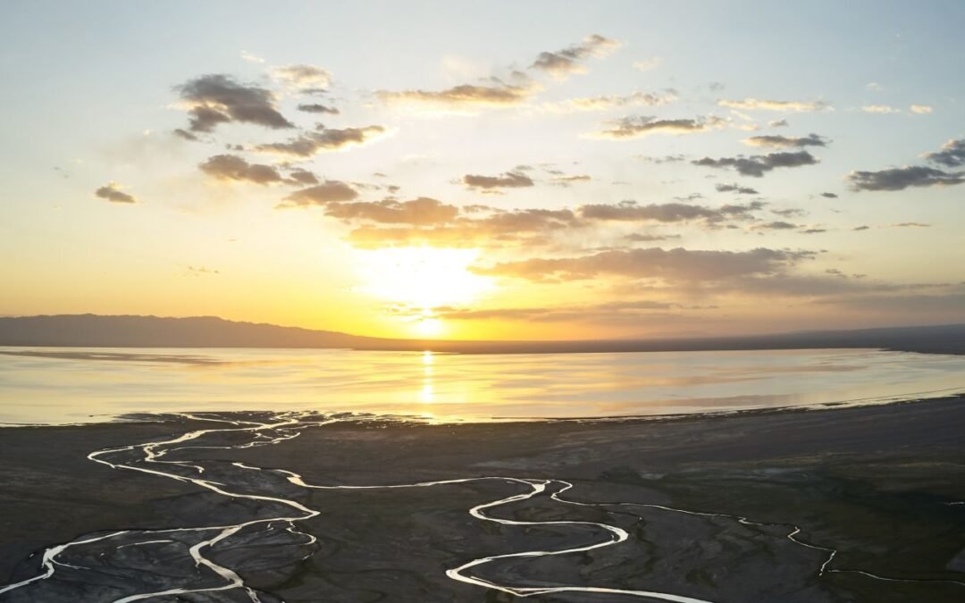 Velocity: una nueva forma de pensar sobre el cambio climático