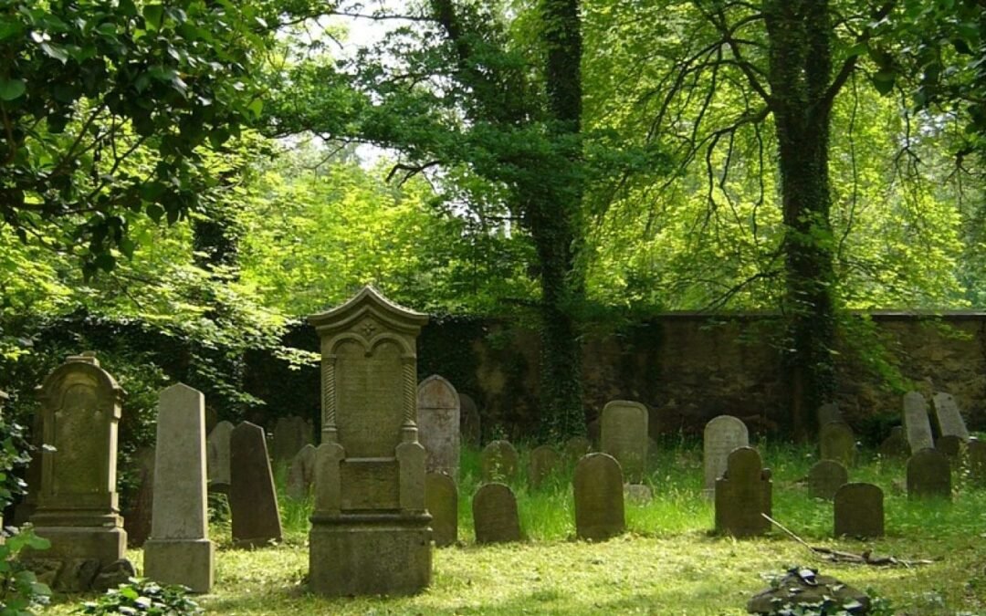 lecciones de muerte  Psicología Hoy