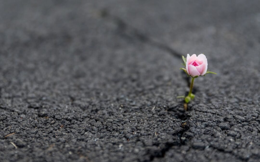 7 maneras en que las personas mentalmente fuertes se recuperan después del fracaso