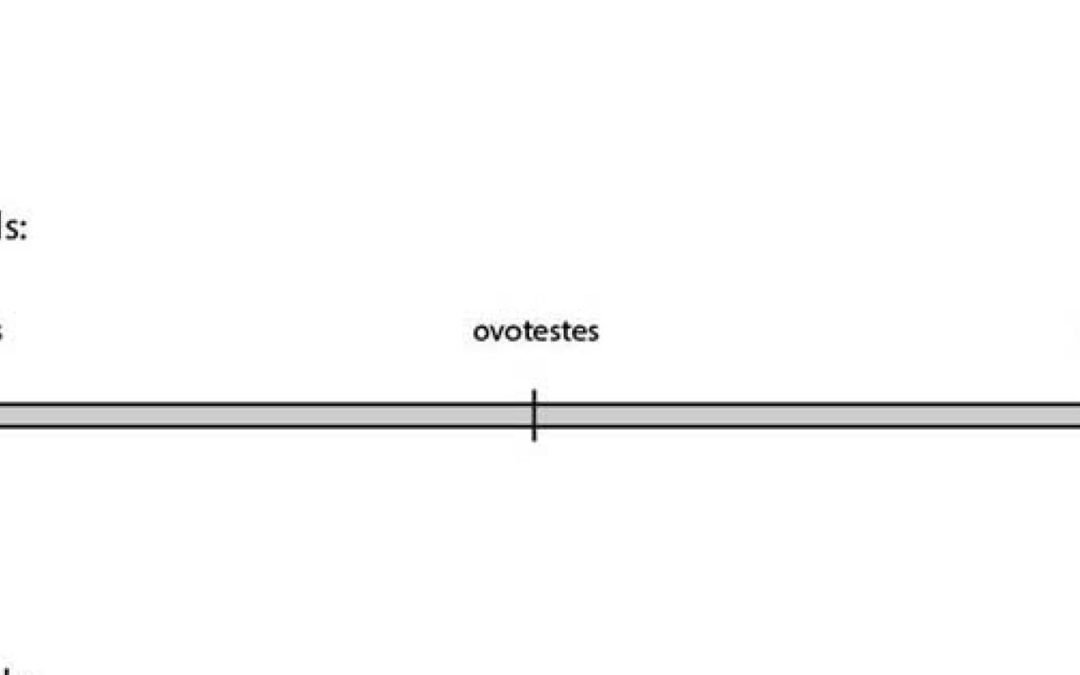 Escalas móviles de características sexuales biológicas