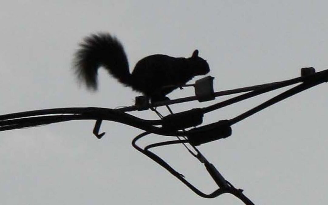 ¿Estamos psicológicamente preparados para los cortes de energía?