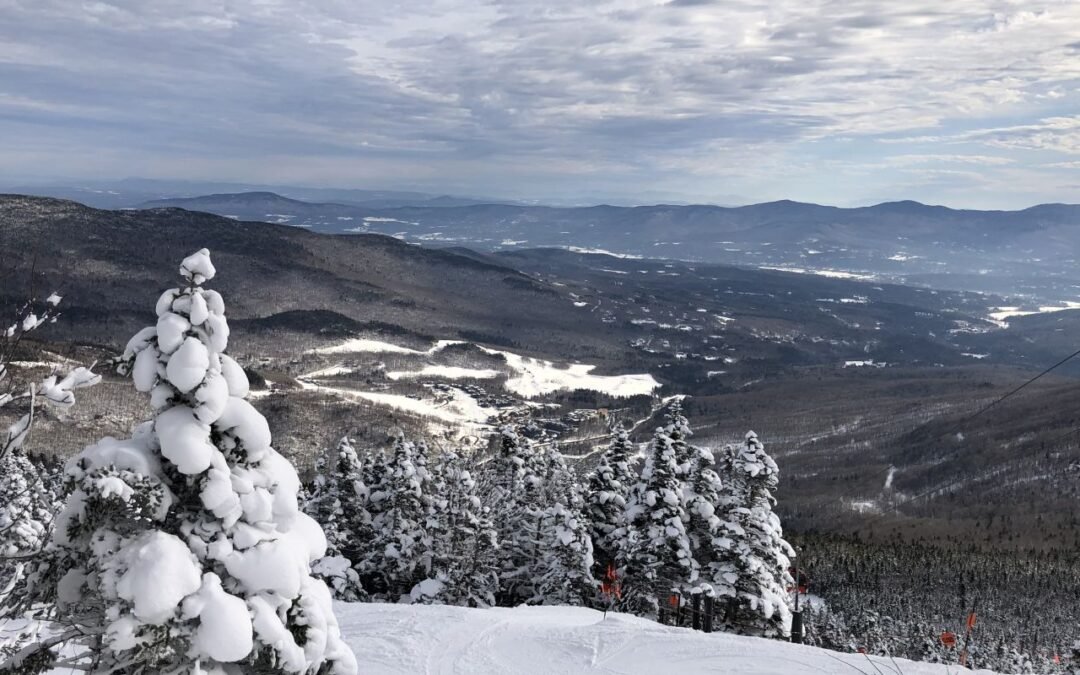 ¿Por qué tanta gente rechaza la razón?