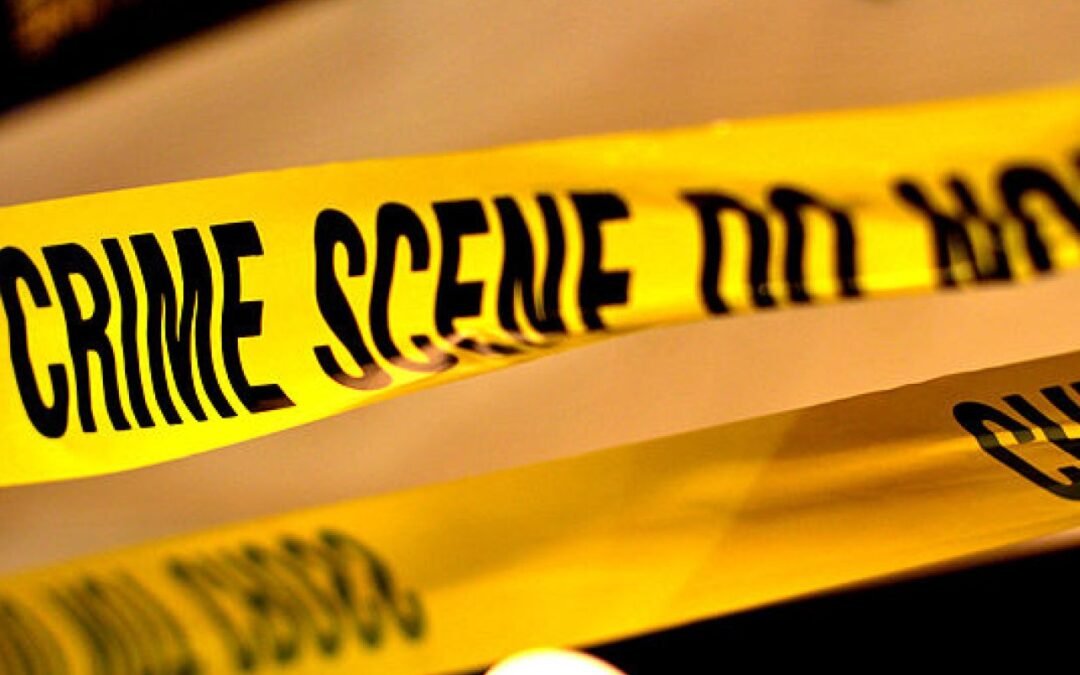 ¿Por qué vemos series de crímenes reales?