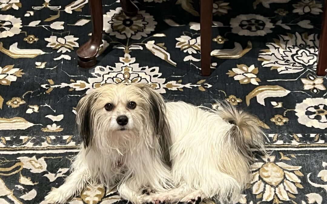 Atención, compasión, amabilidad y empatía.