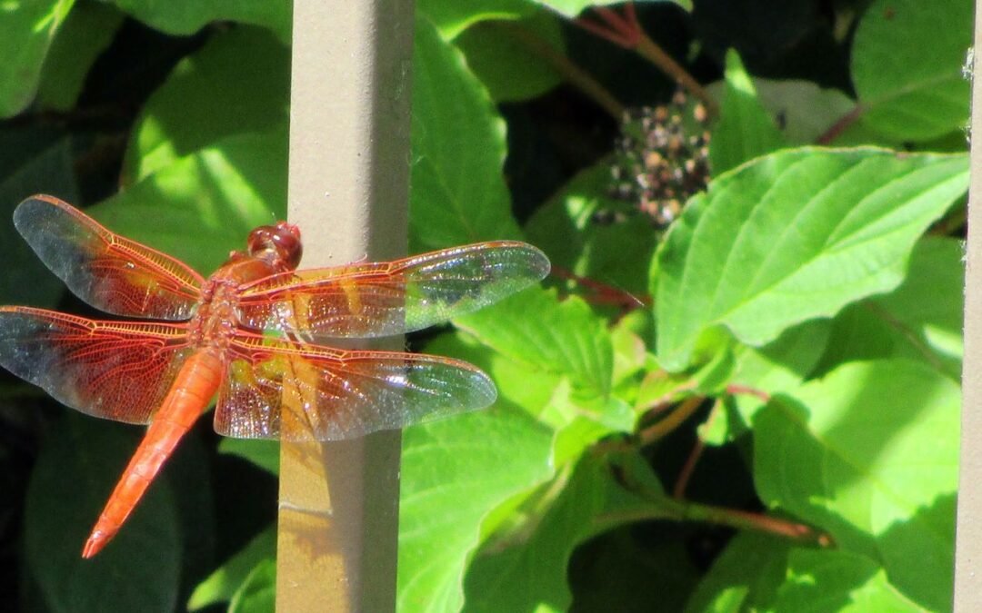 Dos errores al usar la motivación para explicar el comportamiento humano