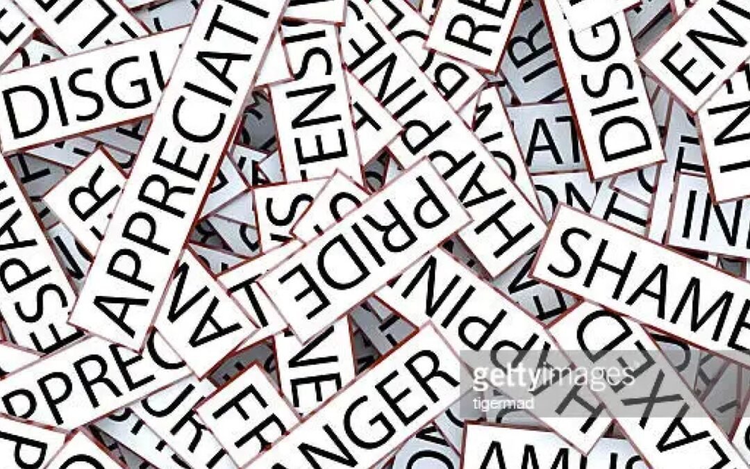 ¿Qué contiene una palabra emocional?