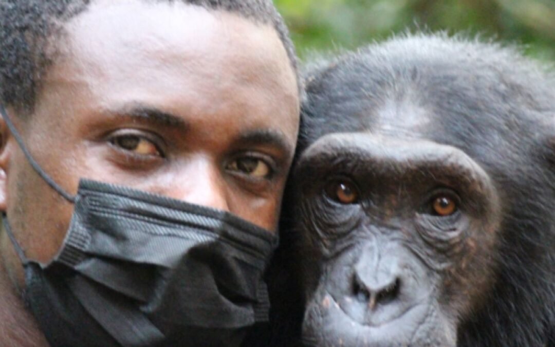 ¿Somos los humanos superiores a otros animales?