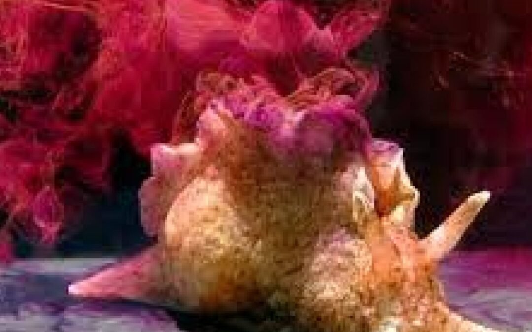 Una modificación radical del modelo de almacenamiento de memoria estándar