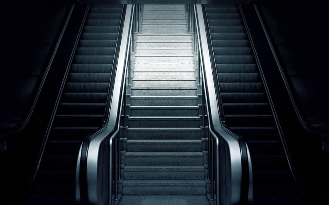 5 hechos oscuros sobre la vida formulados por la psicología evolutiva