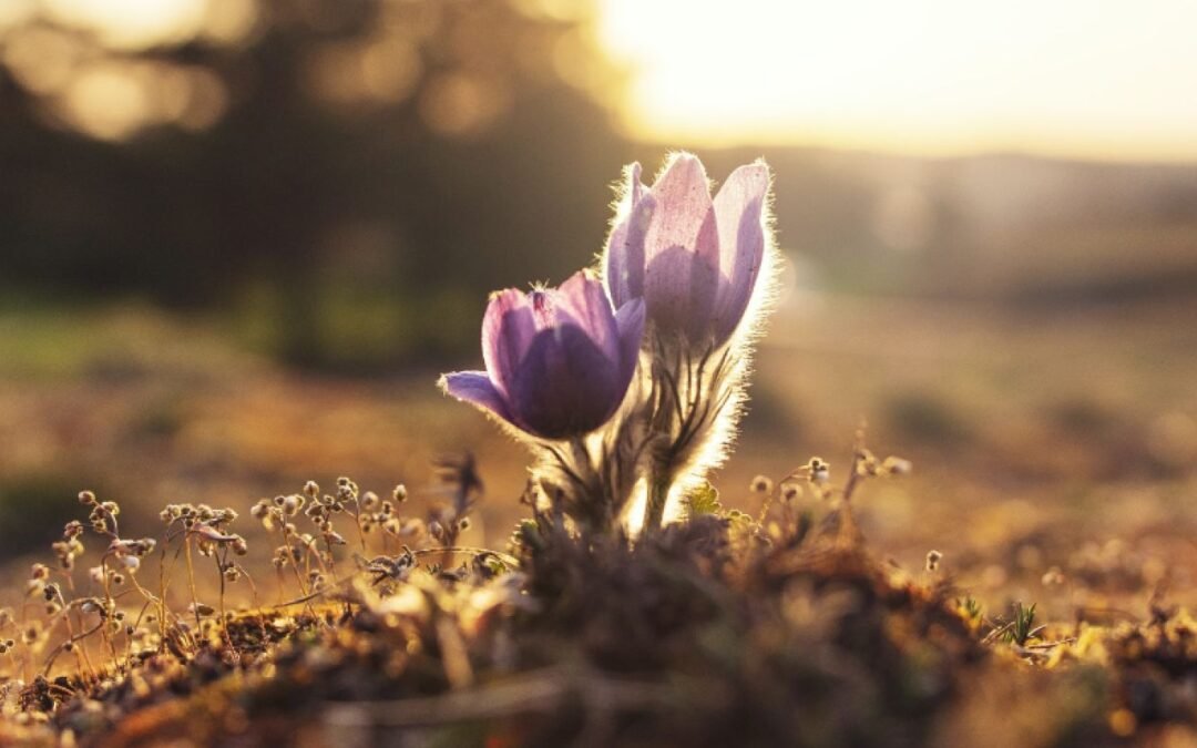 10 ideas que te apoyarán en tu desarrollo personal