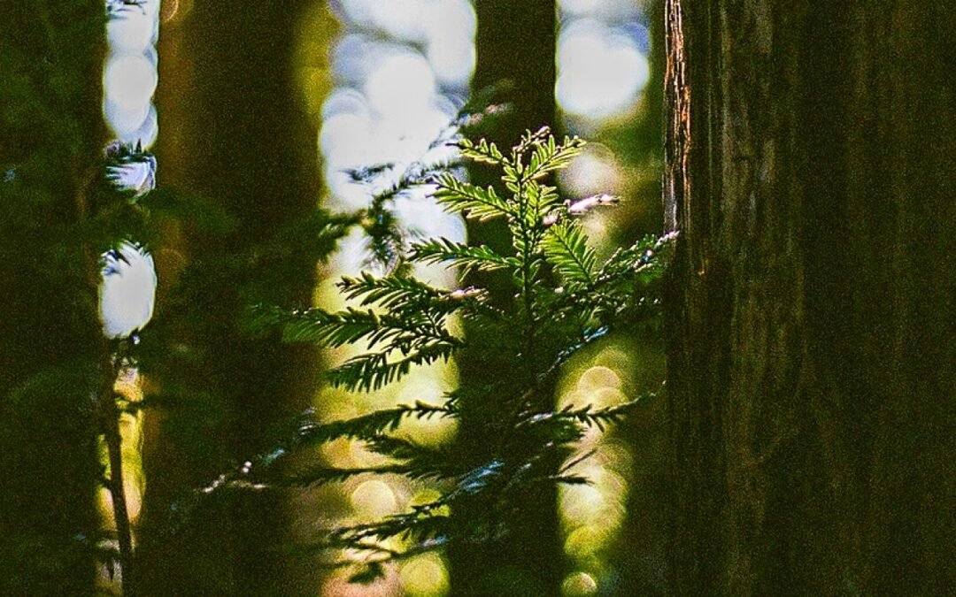 Señales de que eres extremadamente altruista