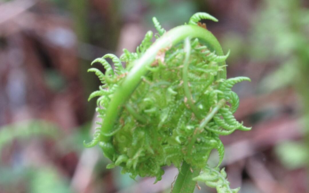 Ateísmo y soñar  Psicología Hoy