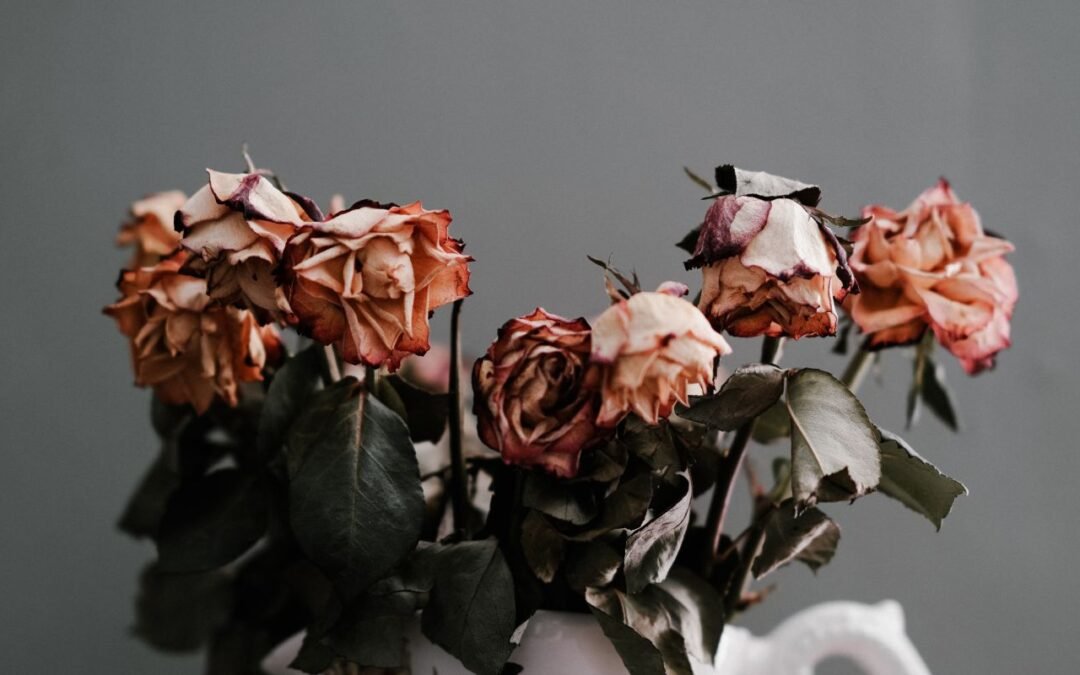 Por qué la desnutrición espiritual mantiene al mundo en alerta de crisis