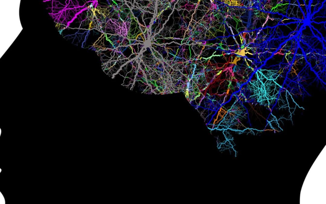 ¿La anorexia causa dificultades cognitivas o viceversa?