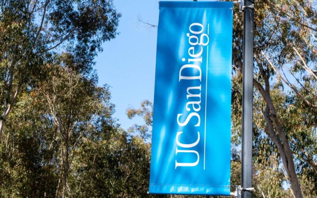 6 lecciones de vida de experiencias universitarias no académicas