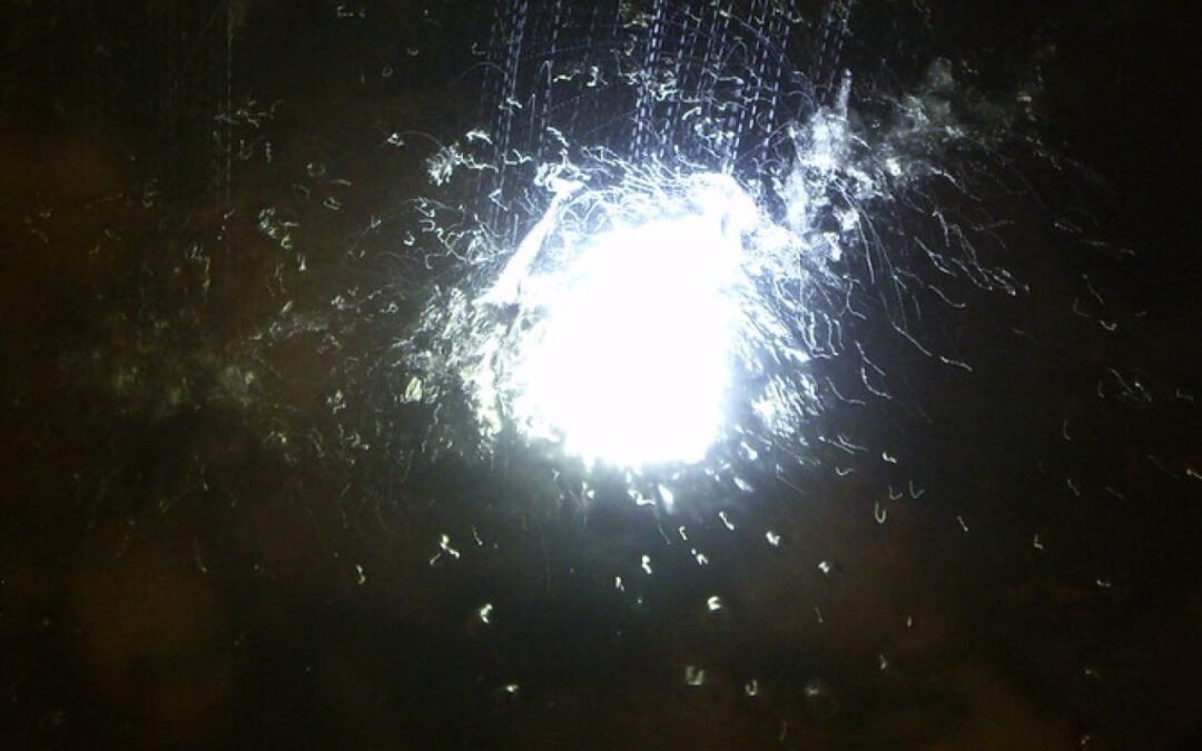 No se puede explicar la experiencia humana en términos puramente físicos.