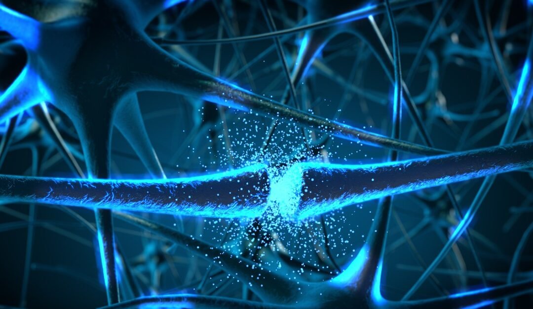 NIMH » Investigadores han encontrado orden en el lenguaje del cerebro