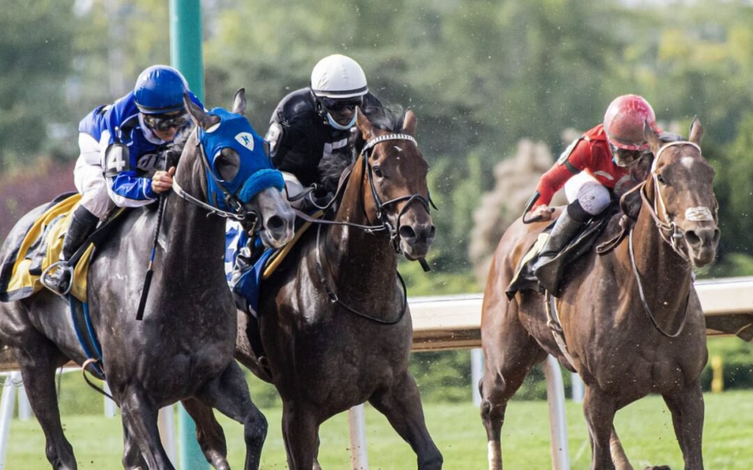 Caballos de carrera mueren por mala atención, no por manifestantes