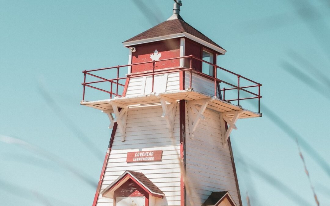 Cómo y por qué hay tantos solteros en Canadá