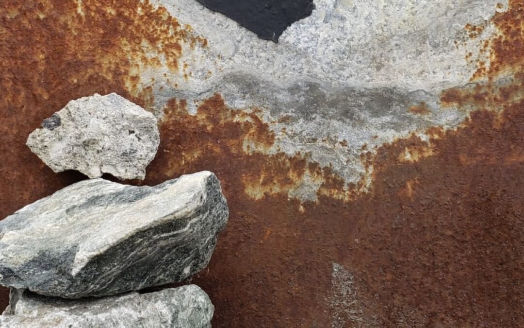 Atención a la enfermedad y al dolor.