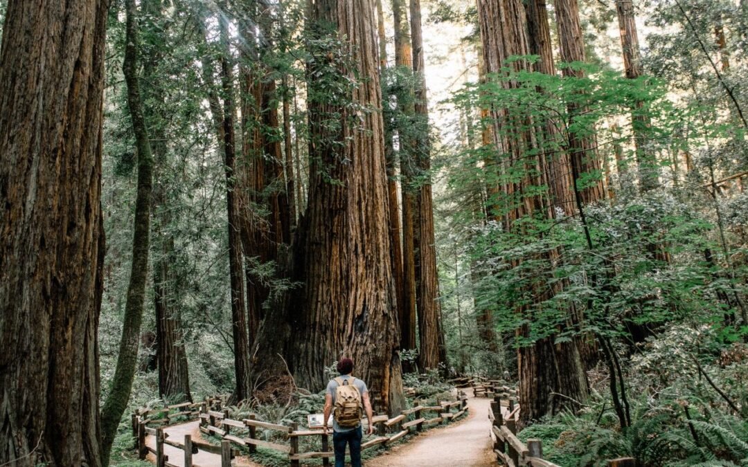 Aceptar el cambio: el camino hacia la transformación