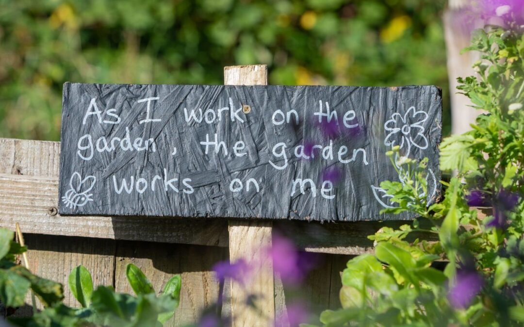 La conexión entre la naturaleza y la imagen corporal